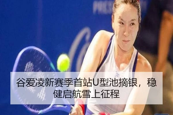 gu-ai-ling-xin-sai-ji-shou-zhan-xing-chi-zhai-yin-wen-jian-qi-hang-xue-shang-zheng-cheng-3-846.jpg